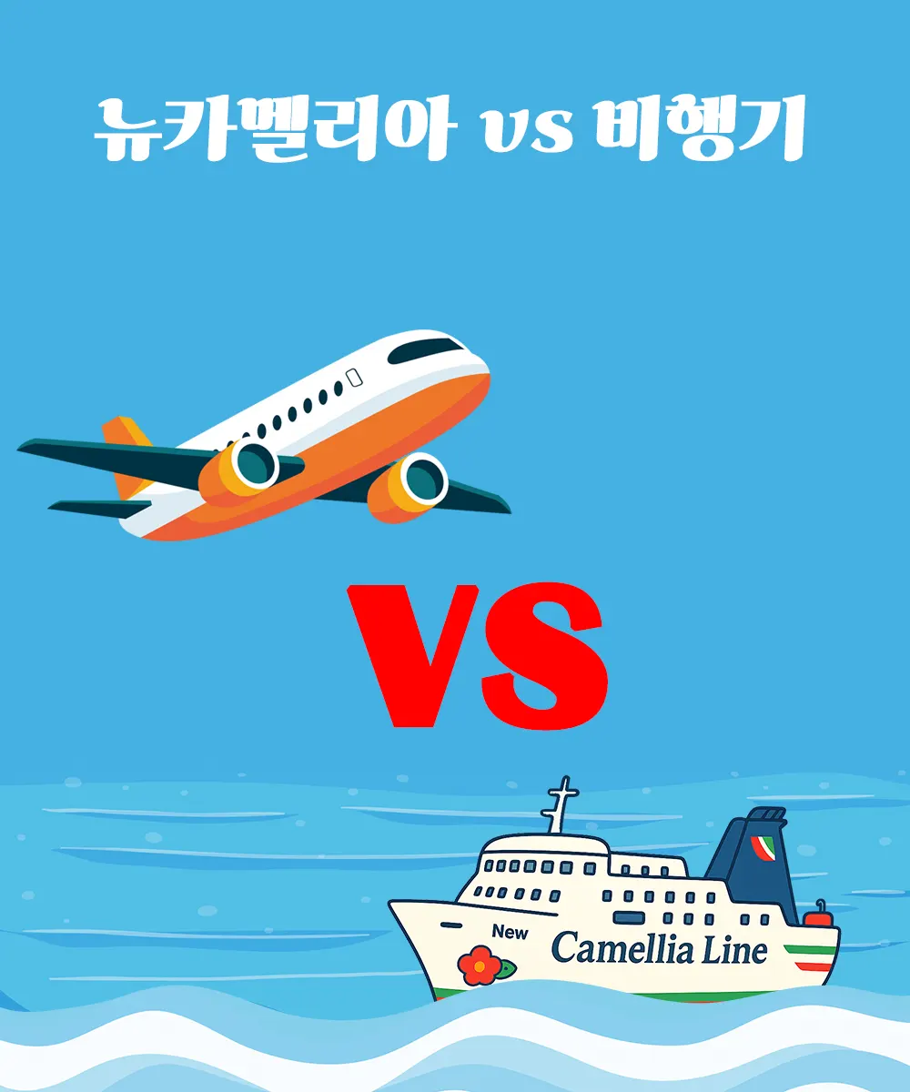 뉴카멜리아vs비행기